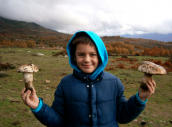 Oferta Valle del Jerte: Otoñada 2014 y micología