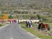  OFERTA: Fin de semana micológico en el Valle del Jerte