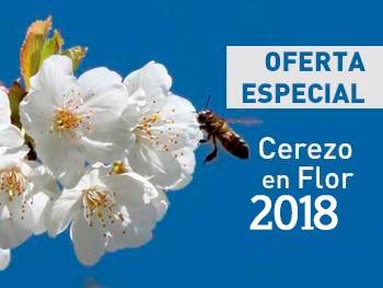 OFERTA Cerezo en Flor 2018. Valle del Jerte