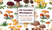 XII Jornadas Micológicas  VALLE DEL JERTE  14 y 15 de noviembre